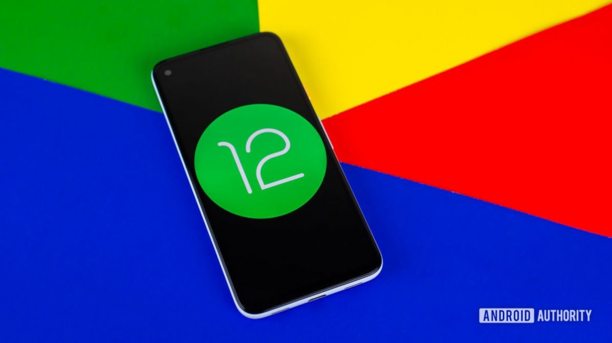 Android 12 2.2开发者预览版官方正版 v1.0.0截图3