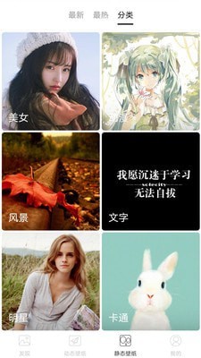 精选壁纸安卓版界面展示