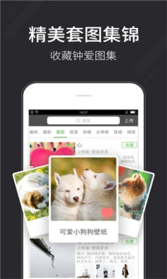 全自动壁纸app最新版下载 v1.0.1截图1