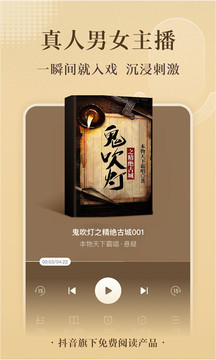 番茄小说截图1