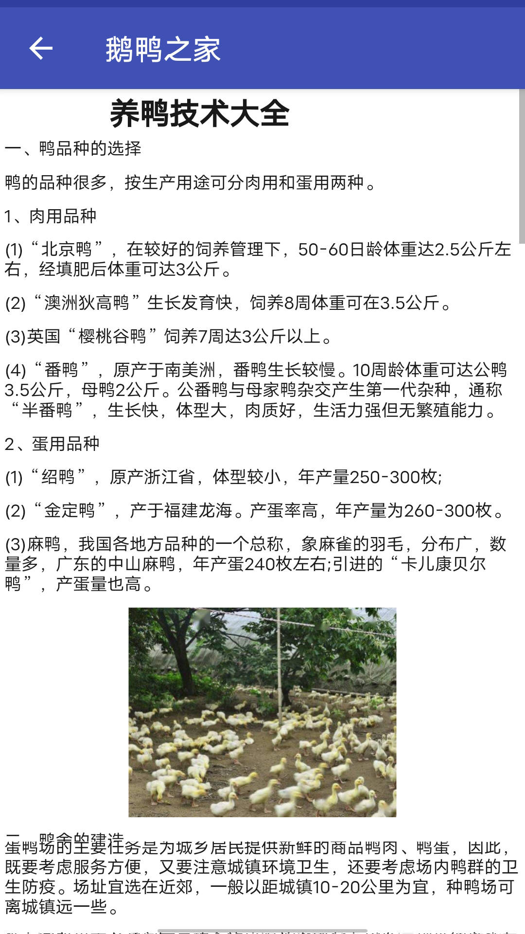 鹅鸭之家app手机版截图1