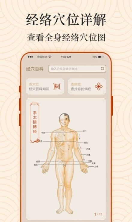 经络图解app官方最新版截图2