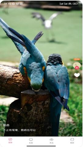 短剧广场app官方版截图2