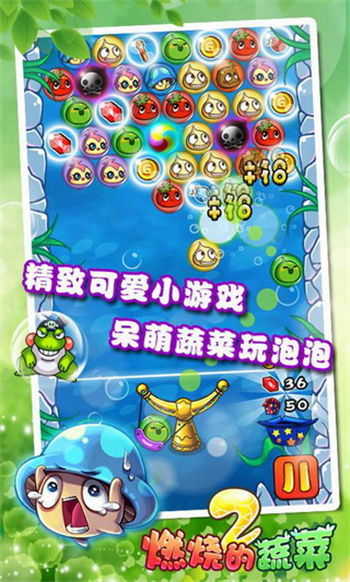 燃烧的蔬菜手机版下载安装截图3